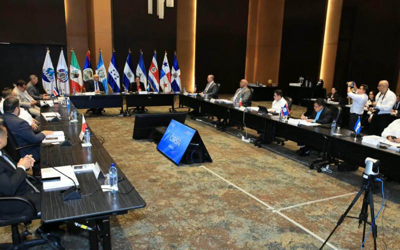 Países de OIRSA acuerdan reforzar respuesta ante riesgos sanitarios agropecuarios