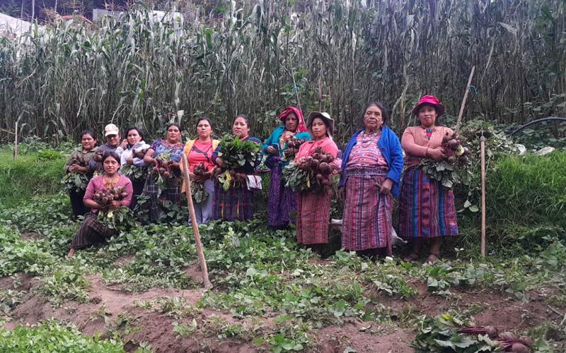 Huerto comunal asegura disponibilidad de alimentos a productores de San Marcos