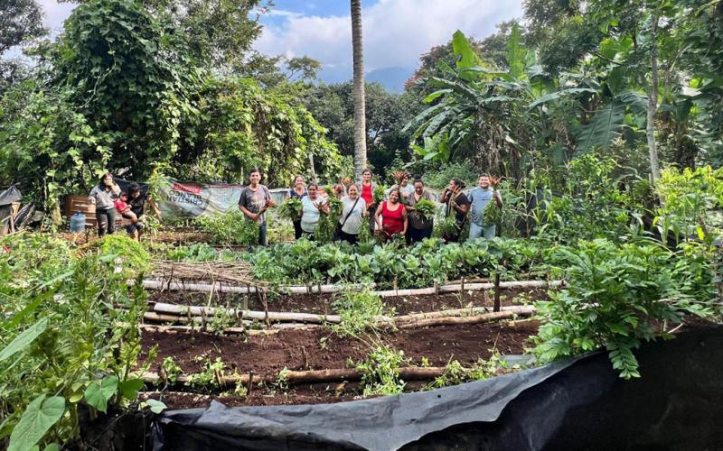 Promueven el cultivo de huertos y el uso de plantas nativas en Santa Rosa