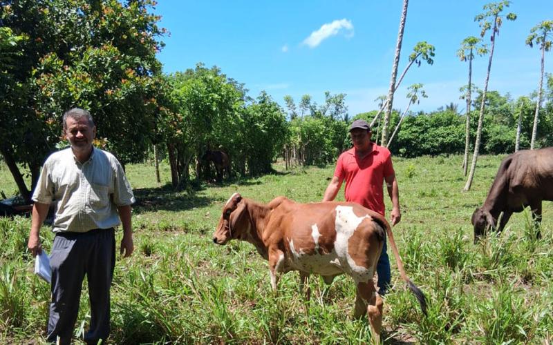 Recomendaciones para proteger cultivos y ganado ante el calor y poca humedad