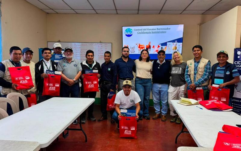 Refuerzan vigilancia del Gusano Barrenador de perros ferales en Sololá