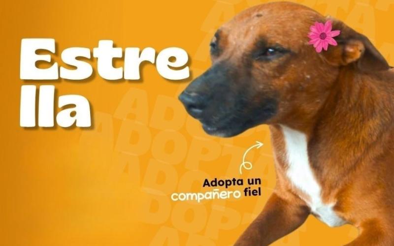 Listos para llenar un hogar con alegría y cariño