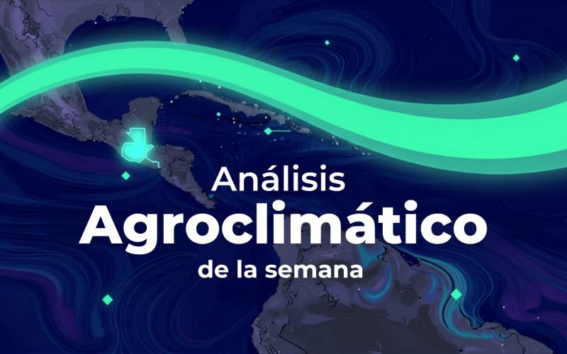 Boletín Agrometereológico del 3 al 7 de agosto 2026