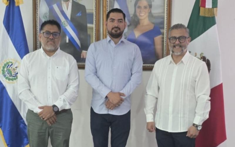 nota de prensa