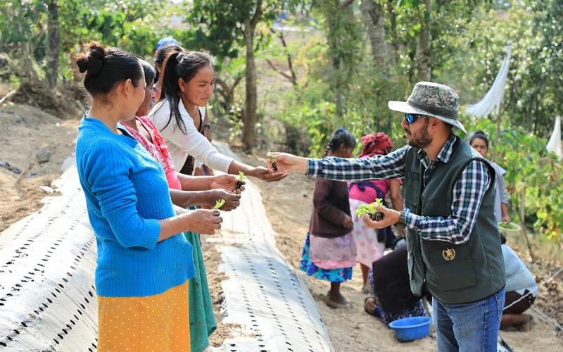 Fortalecemos capacidades para producir alimentos