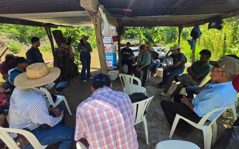 Cultivo de tilapia fortalece la seguridad alimentaria de familias de Santa Rosa