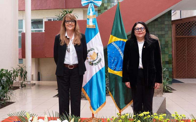 nota de prensa