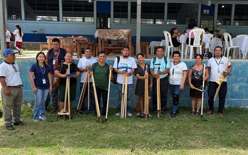 Más centros educativos implementan huertos escolares con fines pedagógicos