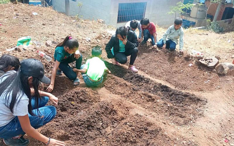 Estudiantes aprenden cómo producir alimentos mediante los huertos escolares