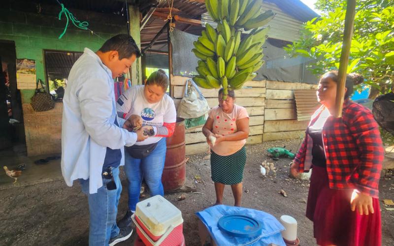 Fortalecen conocimientos de productores avícolas de Nuevo San Francisco