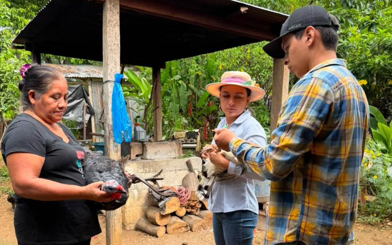 Productores de El Chal fortalecen la sanidad avícola