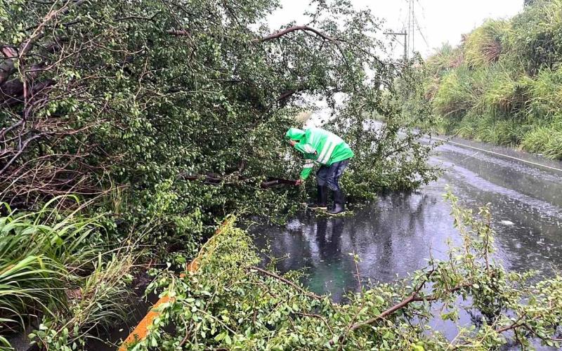 PROVIAL atiende a más de 5 mil usuarios y mantiene la seguridad vial durante la temporada de lluvias