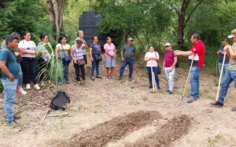 Impulsan huertos escolares con fines pedagógicos en Chiquimula y San Marcos