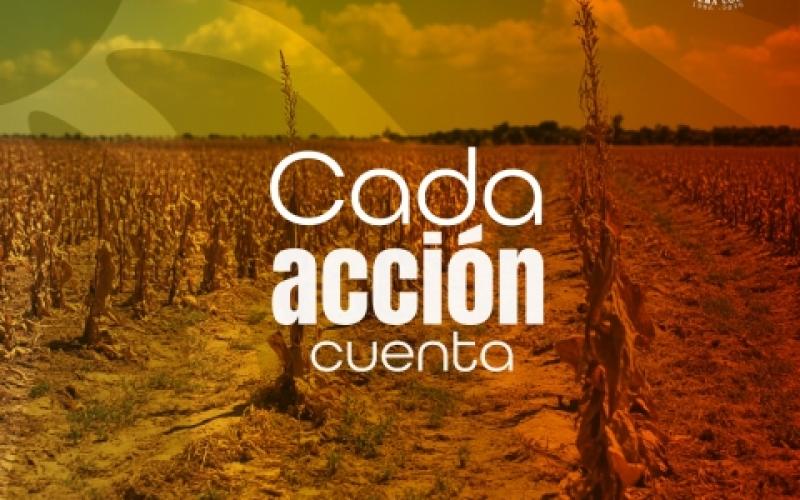 Campaña Cada acción cuenta