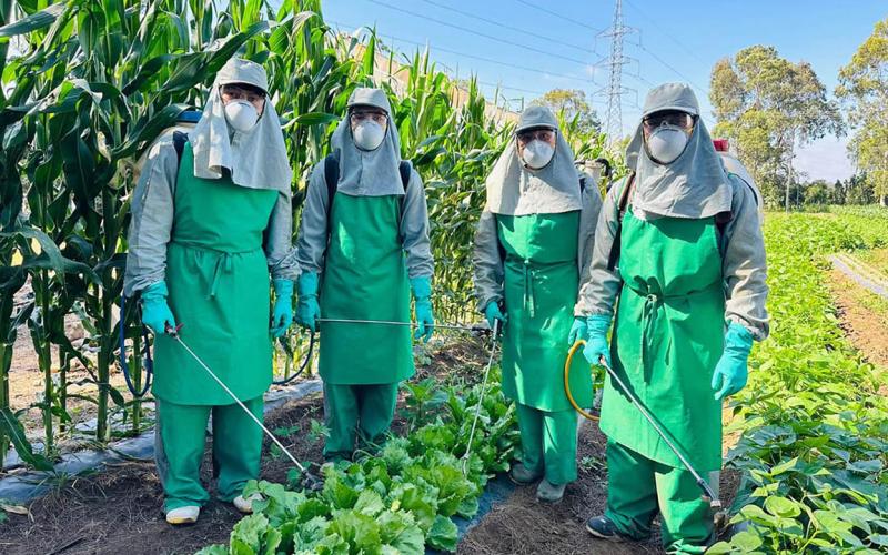 Capacitan a futuros técnicos en el cuidado fitosanitario de siembras de hortalizas