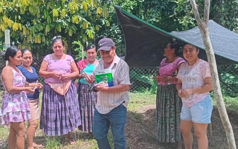 Familias fortalecen la producción de alimentos de sus huertos