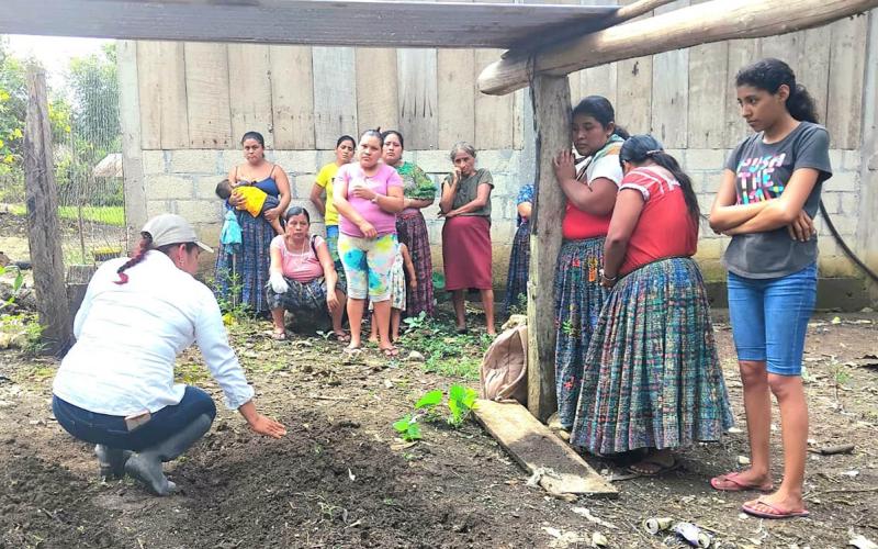 Huertos familiares contribuyen a la seguridad alimentaria en La Providencia, Poptún