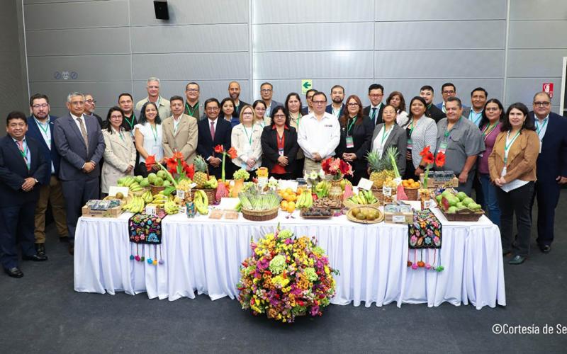 Países de América Latina analizan nuevas medidas para fortalecer la sanidad vegetal
