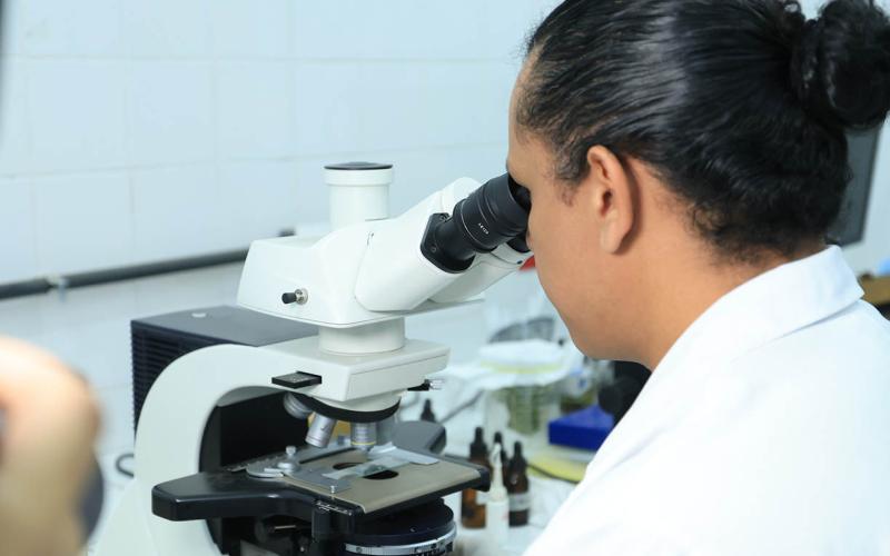 Realizados más de 5 mil diagnósticos fitosanitarios en lo que va del año
