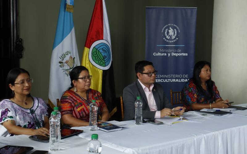 Viceministerio de Interculturalidad da seguimiento al registro de variables sobre Pueblos Indígenas