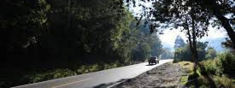 Conferencia de Prensa