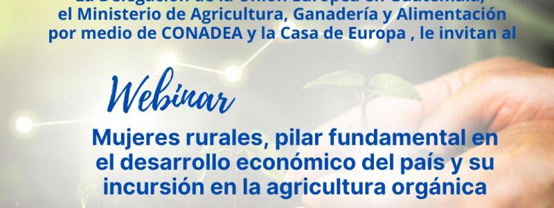 Invitados al Webinar
