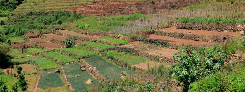 MAGA supervisará avances de proyectos productivos en Sololá