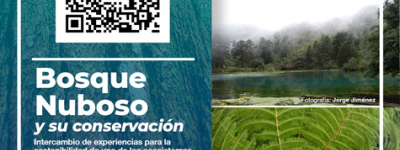 Intercambio de experiencias para la sostenibilidad de uno de los ecosistemas más vulnerables del país. 