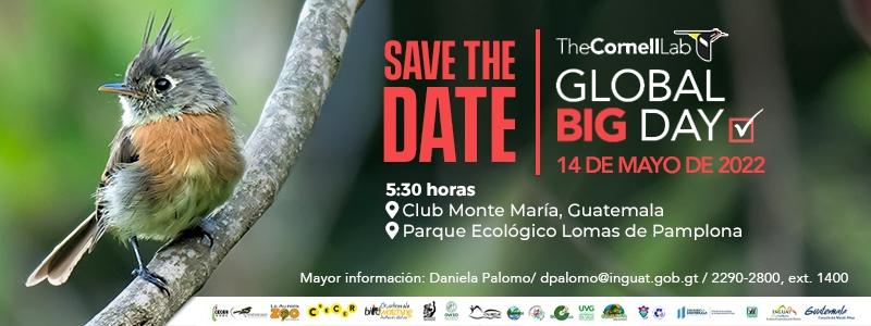 Global Big Day 14 mayo