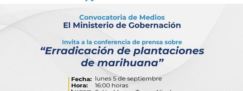 Erradicación de plantaciones de marihuana