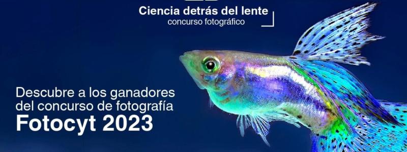 Fotocyt, ciencia detrás del lente 