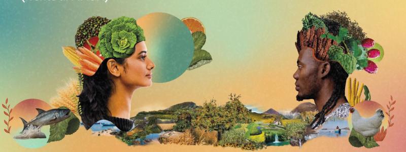 Feria del Agricultor