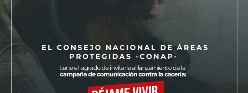 Campaña contra la cacería