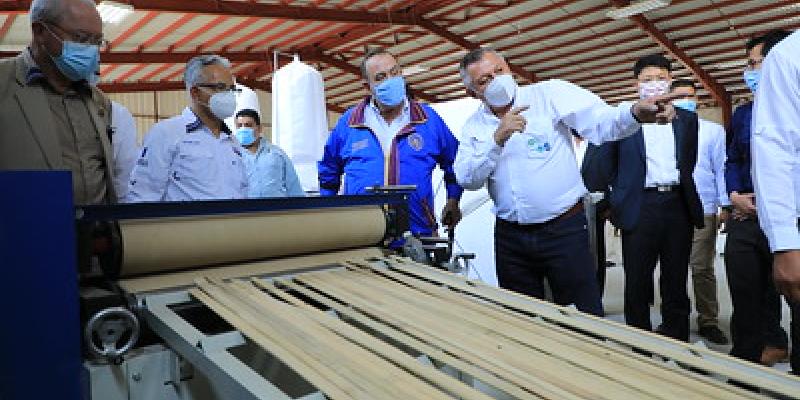 Visita al centro de bambú