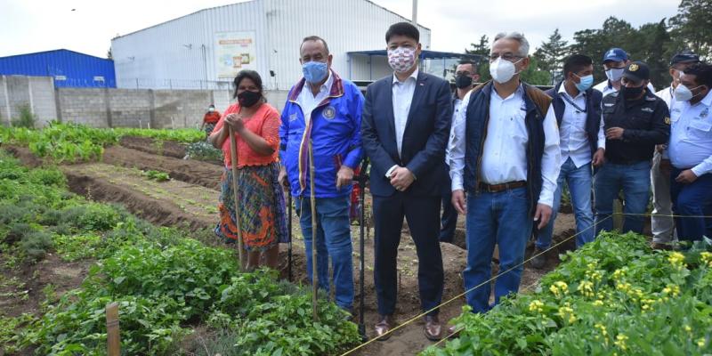 Presidente Alejandro Giammattei ve en los huertos la oportunidad de tener alimentos para la población
