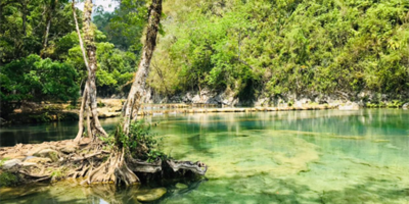 semuc champey