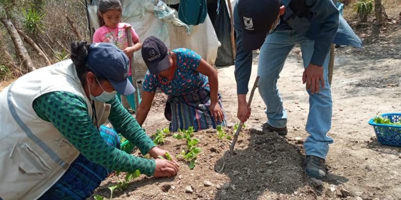 Secretaría de Seguridad Alimentaria y Nutricional 