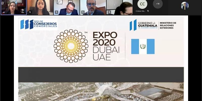 Participación de viceministra en reunión virtual.