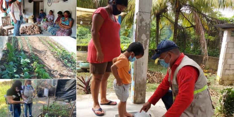 Secretaría de Seguridad Alimentaria y Nutricional 