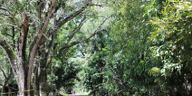 Guatemala tiene bellos paisajes