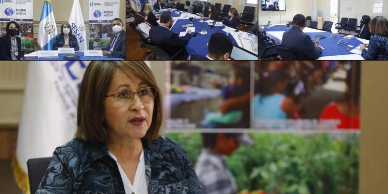 Secretaría de Seguridad Alimentaria y Nutricional 