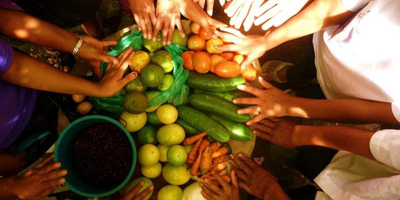 Secretaría de Seguridad Alimentaria y Nutricional 