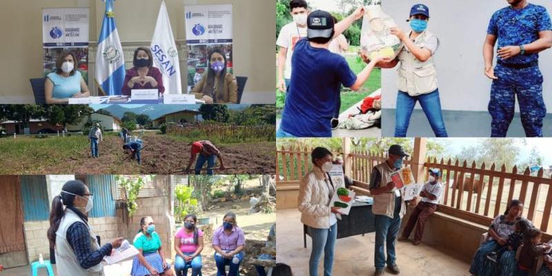 Secretaría de Seguridad Alimentaria y Nutricional 