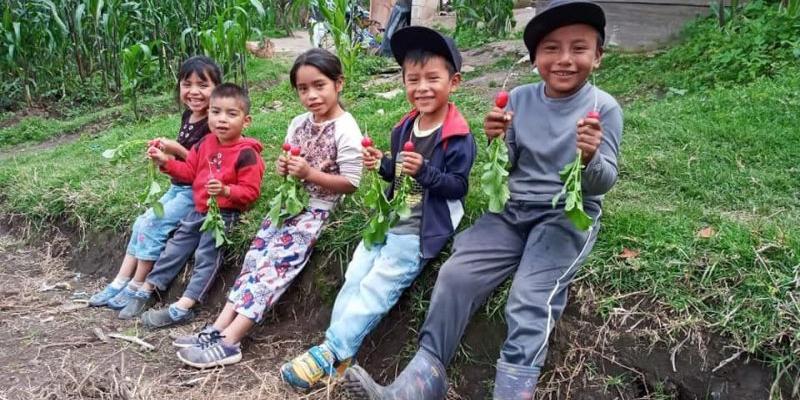 Secretaría de Seguridad Alimentaria y Nutricional 