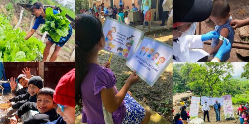 Secretaría de Seguridad Alimentaria y Nutricional 