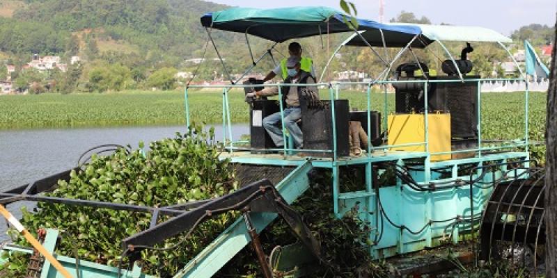 Personal del MARN desarrolla jornada de limpieza en la Laguna Chichoj
