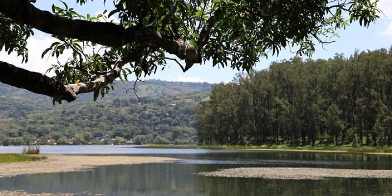 Restauración de paisajes en Guatemala