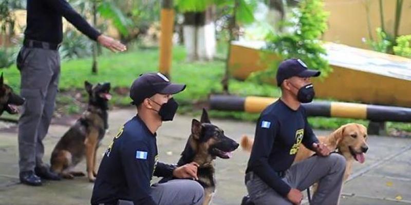 Los agentes caninos previenen el ingreso de ilícitos a los centros de privación de libertad