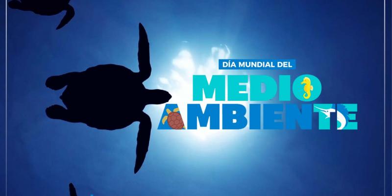 oceano tortuga marina