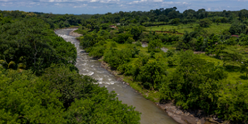 El río Ocosito es un afluente que recorre la costa sur en Retalhuleu y San Marcos